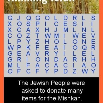 Terumah Word Search Puzzle