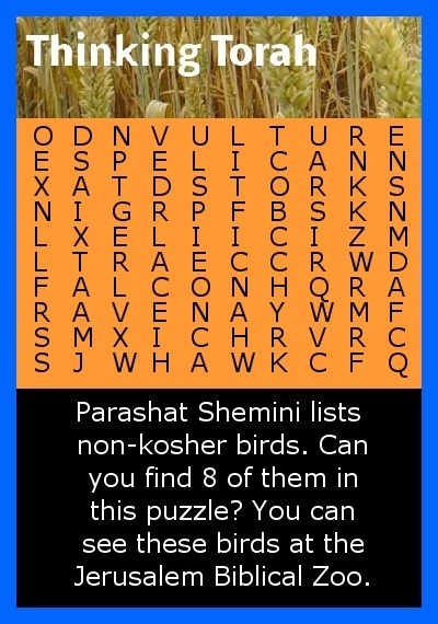 Shemini Puzzle