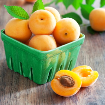 Tu Bishevat apricots should check for bugs