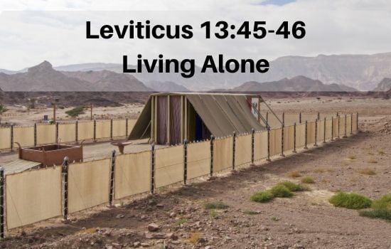 Leviticus 13:45-46 - Living Alone