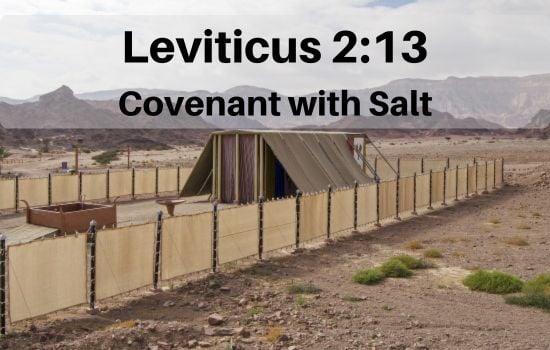 Leviticus 2:13 - Covenant with Salt