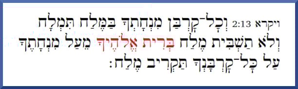 Leviticus 2:13 Hebrew text