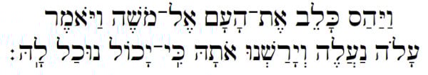 Numbers 13:30 Hebrew